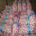 2016 New Crop Fresh Garlic with Market Price in China